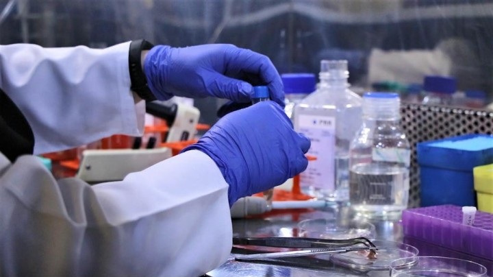 Cover of Primary Culture by Enzymatic Disaggregation
